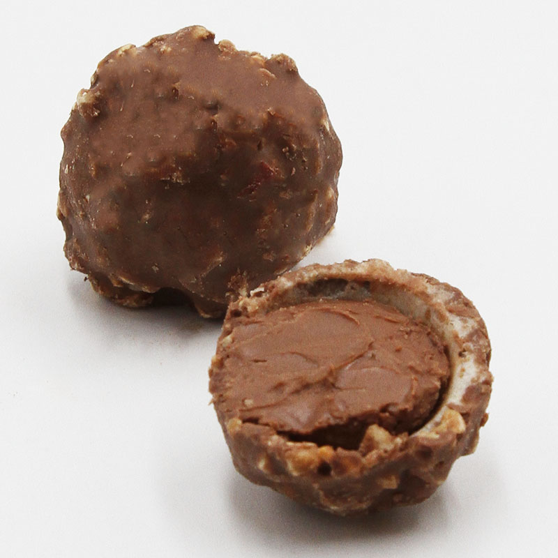 Chocolate Covered  Brazil Nuts