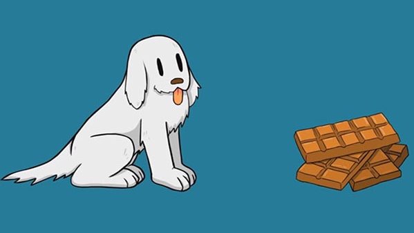 Don't give dogs a chocolat