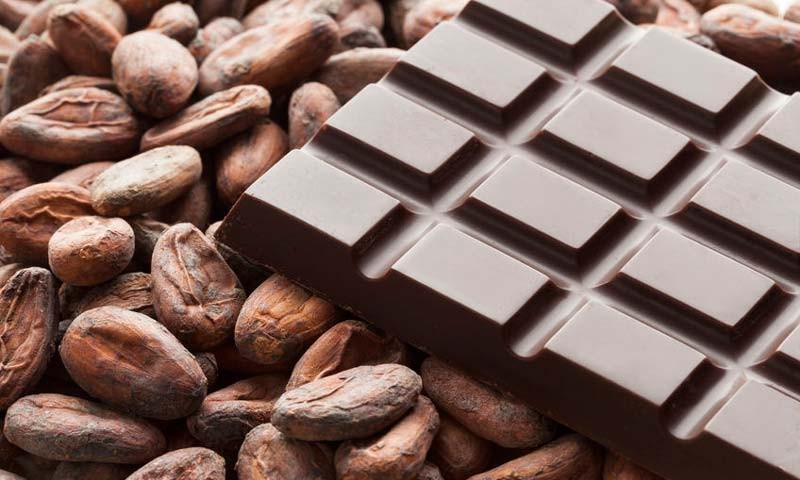 Cocoa chocolate