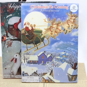 72g Christmas chocolate advent calendar